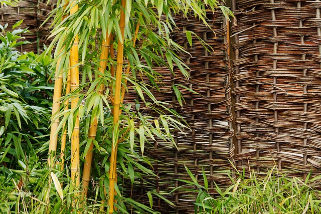 Bamboe bemesten
